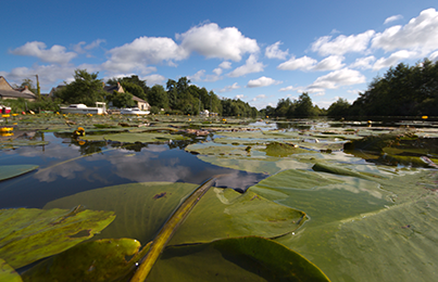 2014_Paysage_de_Erdre_navigable_Credits_Azeliz_MARY_ (26)