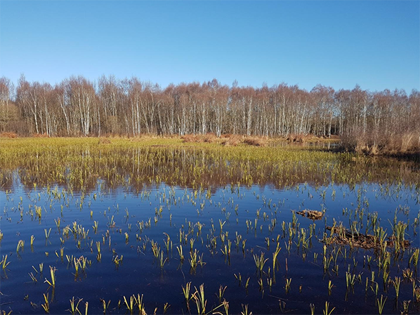 La gestion et la restauration des espaces naturels_