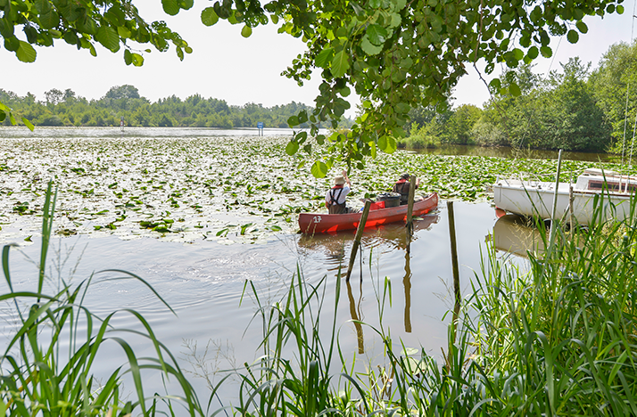 Marais Erdre-41