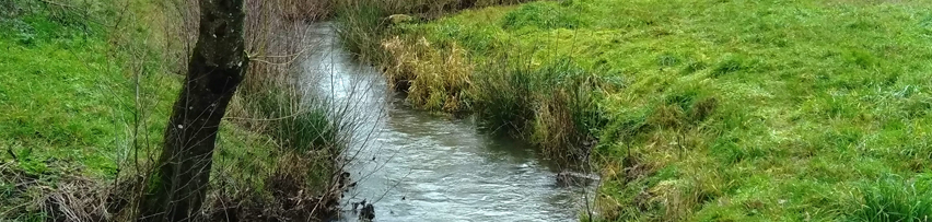 Restaurer les milieux aquatiques