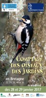 VISUEL-Depliant-Oiseaux-des-jardins-2017-e1483517318684