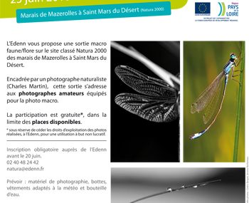 affiche-atelier-macro-3.indd