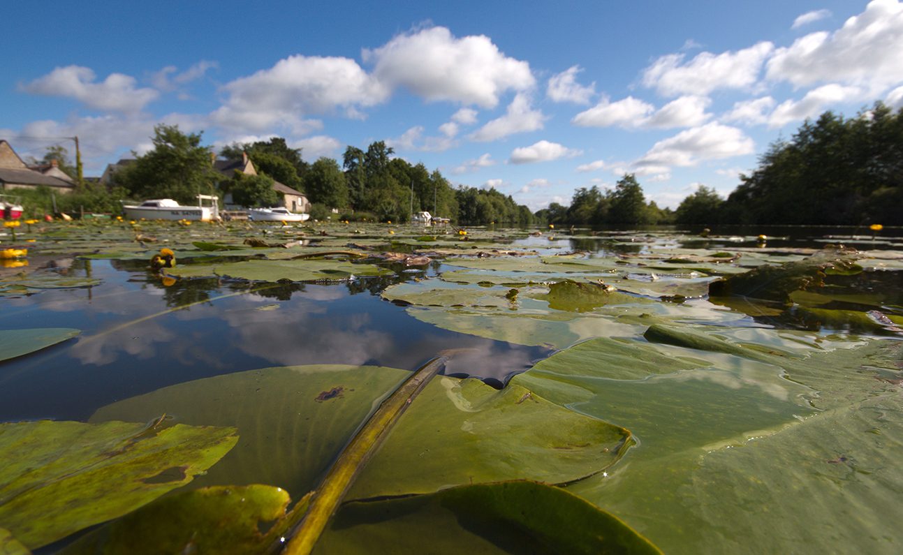 home2014_Paysage_de_Erdre_navigable_Credits_Azeliz_MARY_ (26)