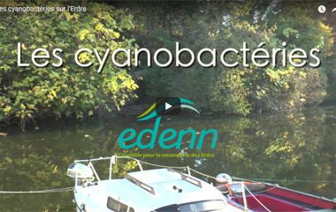 video-cyano-vignet