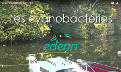 video-cyano-vignet